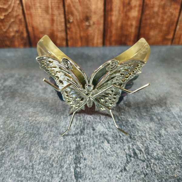 Papillon en Fluorine Multicolore