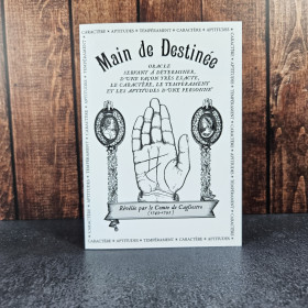 Oracle Main de Destinée