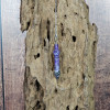 Pendule divinatoire Thot améthyste, détail pierre violette avec chaînette argentée