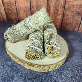 Sauge Bleue en Fagot