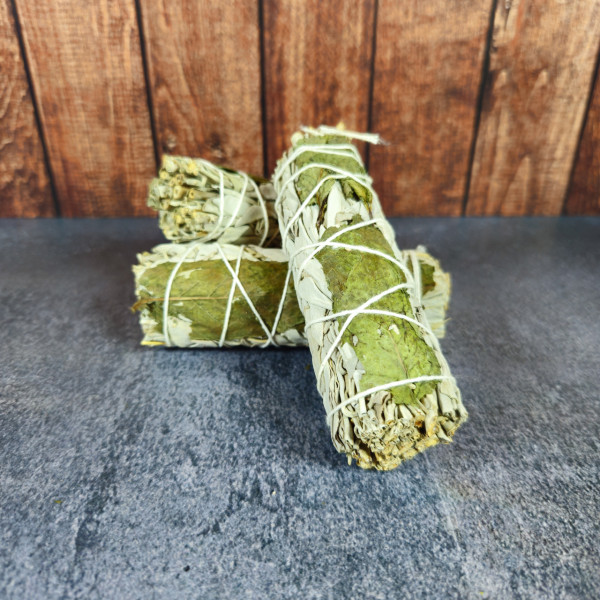 Sauge Blanche et Menthe en Fagot de bonne qualité