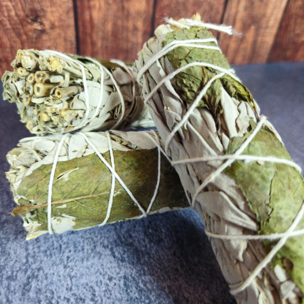 Sauge Blanche et Menthe Qualité premium