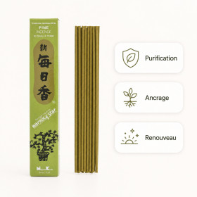 Encens japonais Morning Star Pin avec bienfaits purification, ancrage et renouveau