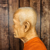 Détail du crâne et du profil de Luang Phor Sodh, statue en cire aux finitions hyperréalistes
