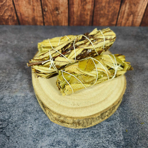 Herbes sacrées en Fagot