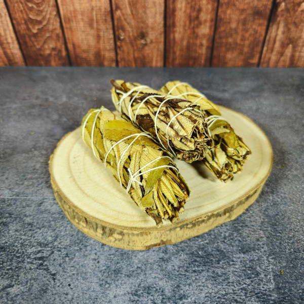 Herbes sacrées en Fagot