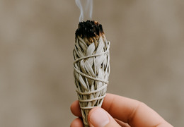 Sauge blanche : rituel ancestral de purification et bienfaits pour le quotidien