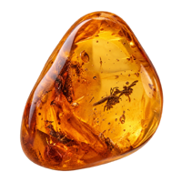 Ambre